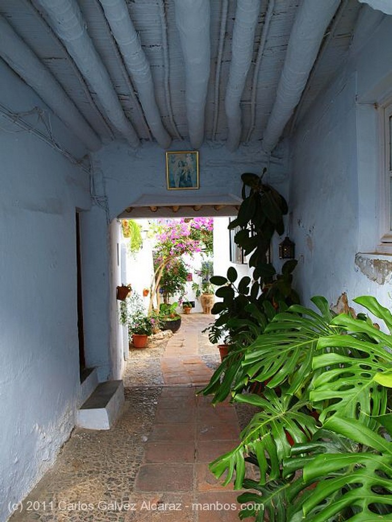 Frigiliana
Patio
Málaga