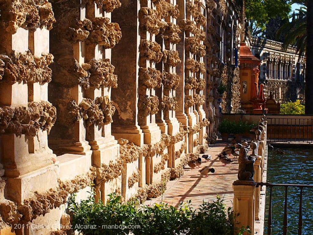 Sevilla
Patio.
Sevilla