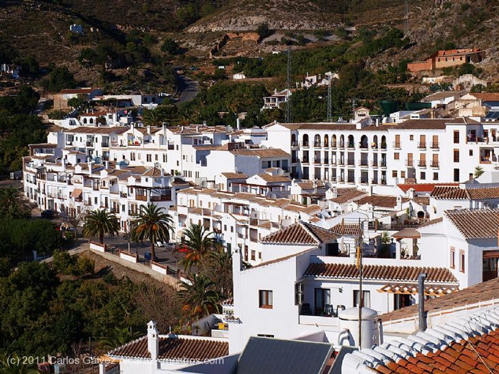 Frigiliana
Patio
Málaga