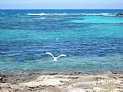 Playa en Formentera, Formentera, España