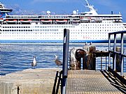 Camara Olympus-E-520
Cruceros
Carlos Gálvez Alcaraz
MALAGA
Foto: 20465