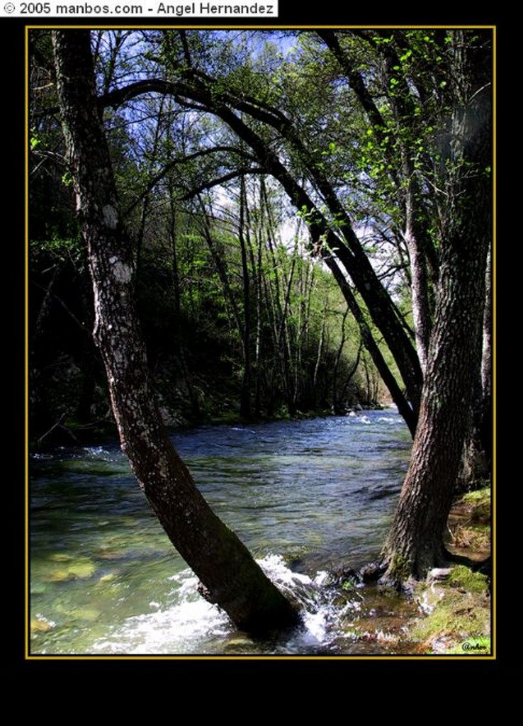 Foto de Sierra de Gata, Perales del Puerto, Caceres, España - Rivera de Acebo