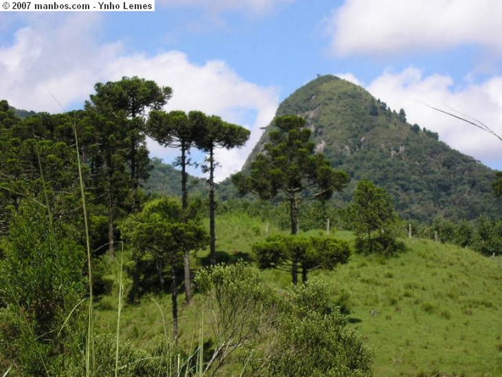 Urubici
Araucarias
Santa Catarina