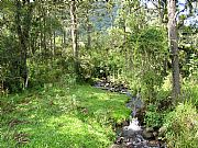 Serra do Corvo Branco, Urubici, Brasil