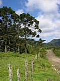 Serra do Corvo Branco, Urubici, Brasil