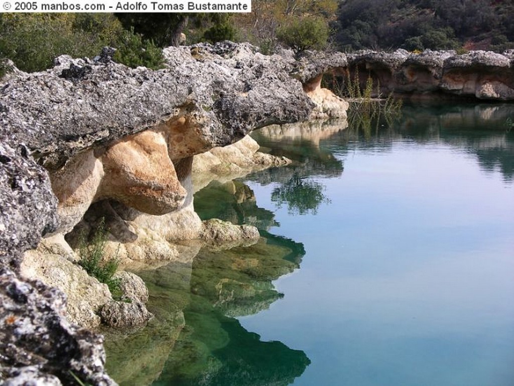 Ruidera
Arbol en el agua
Albacete