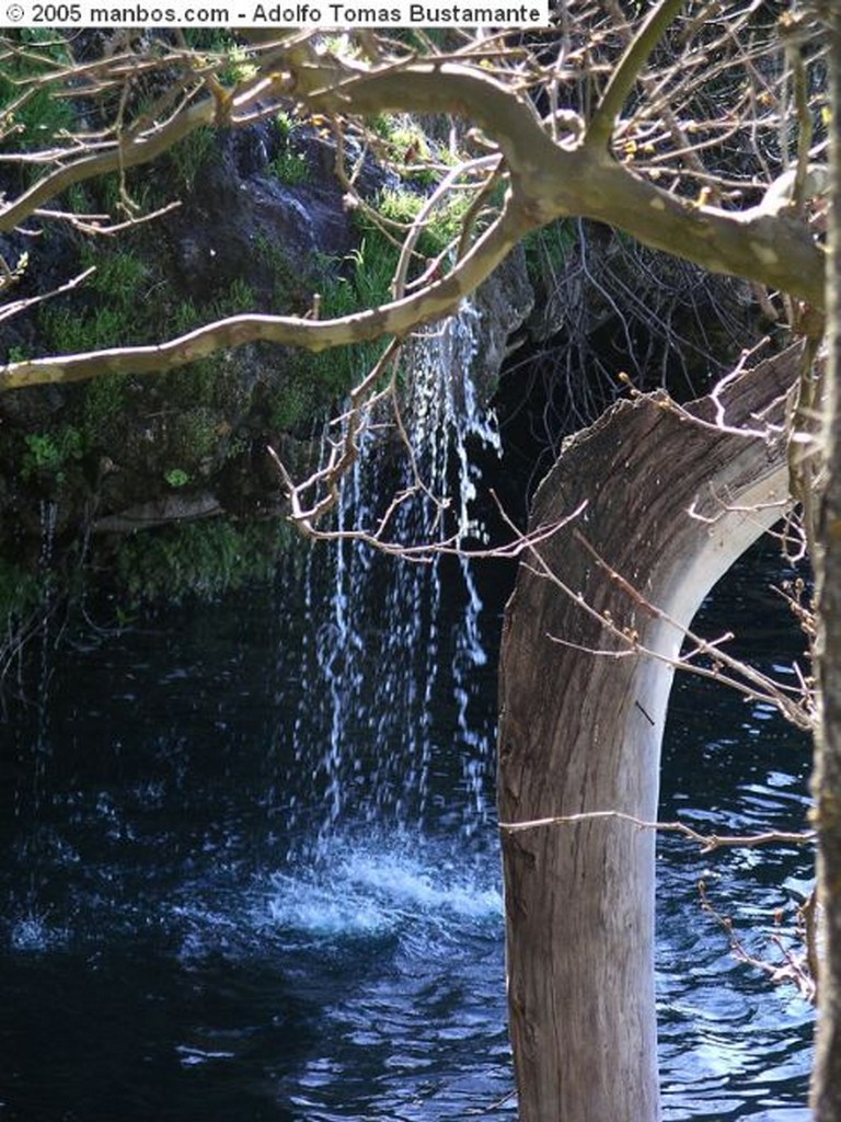 Ruidera
Arbol en el agua
Albacete