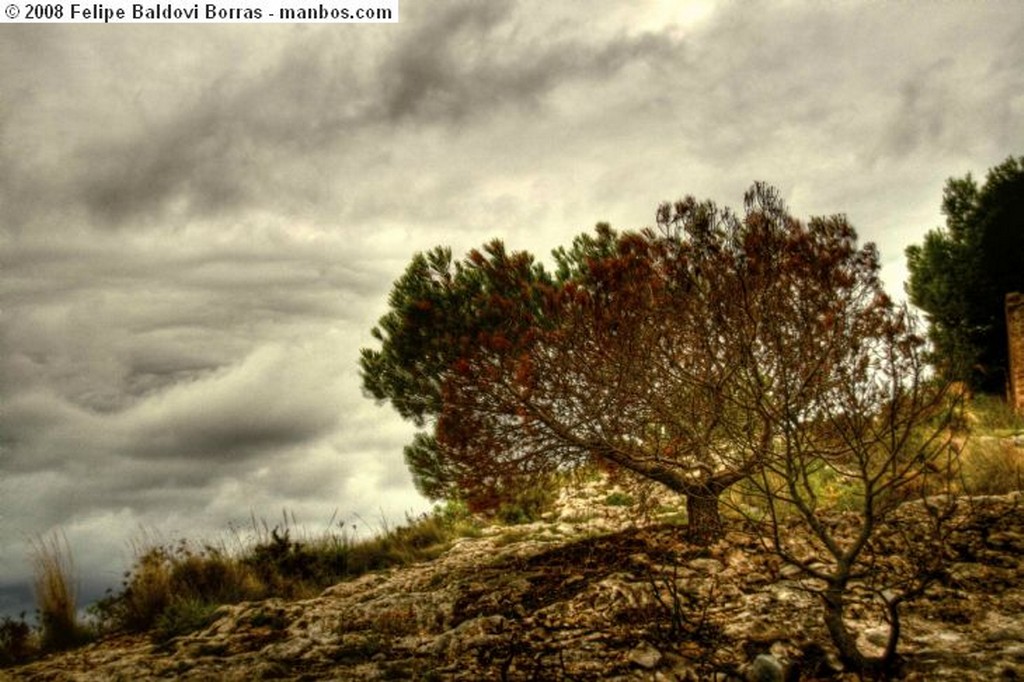 Bocairent
Bocairent niebla
Valencia