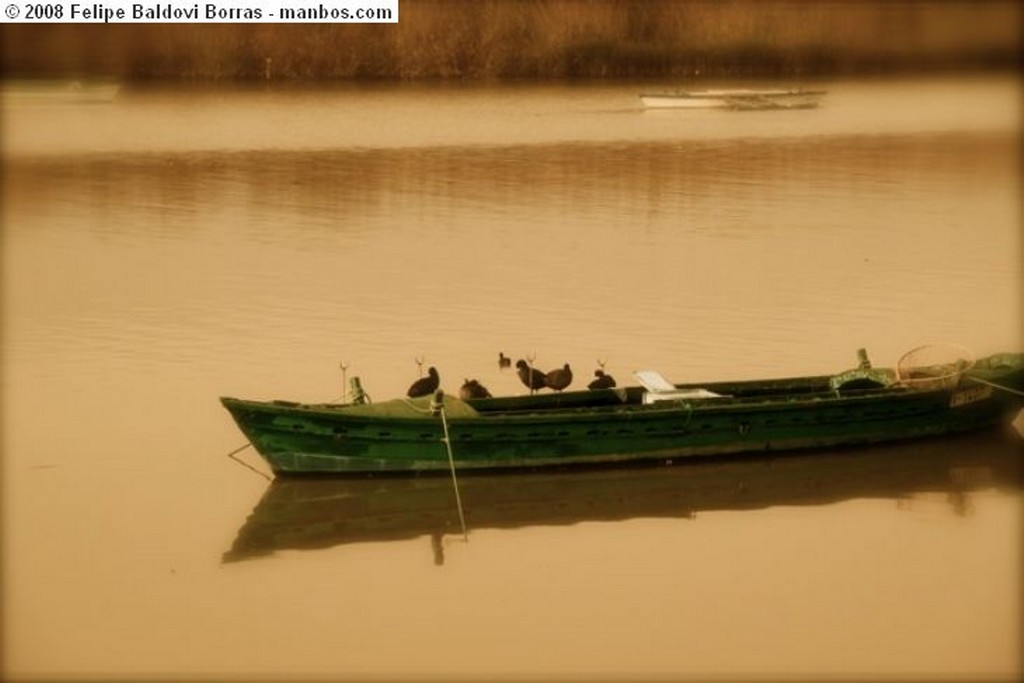 Cullera
Barcas sobre el  estany 
Valencia