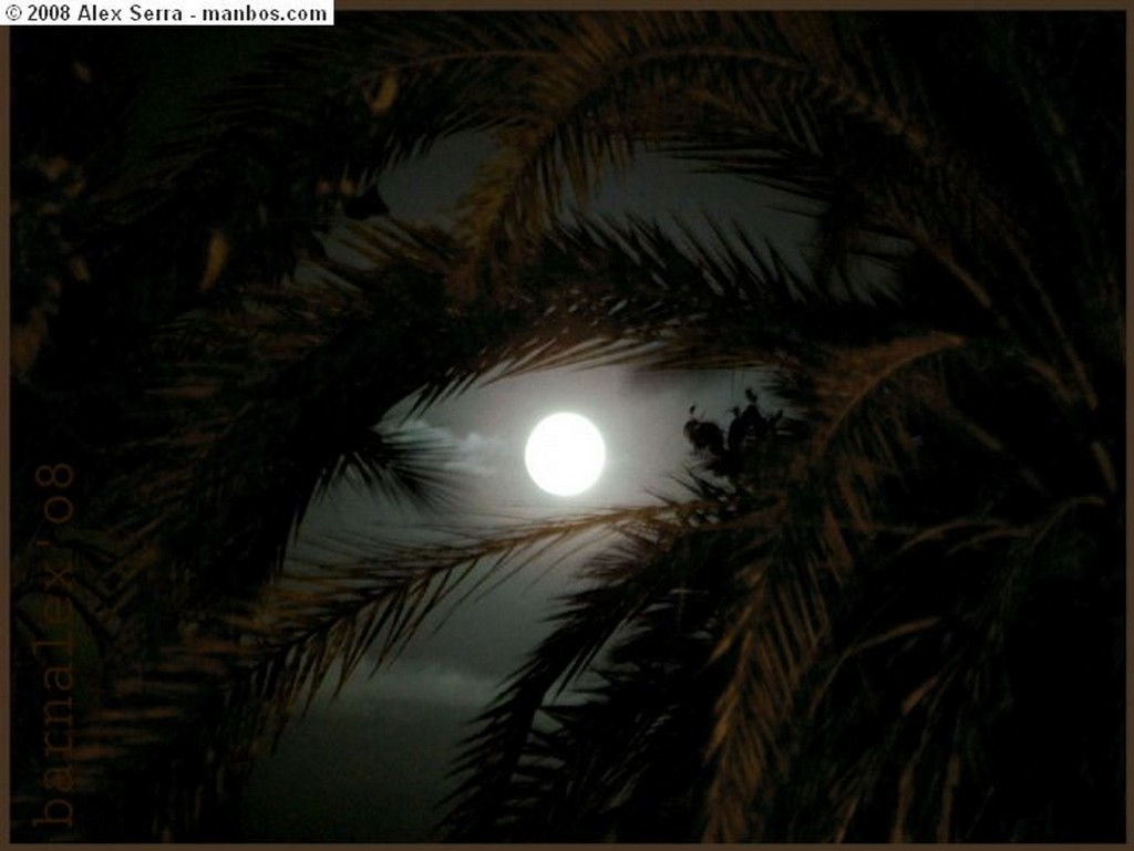 Palermo
Busto con luna Llena
Sicilia