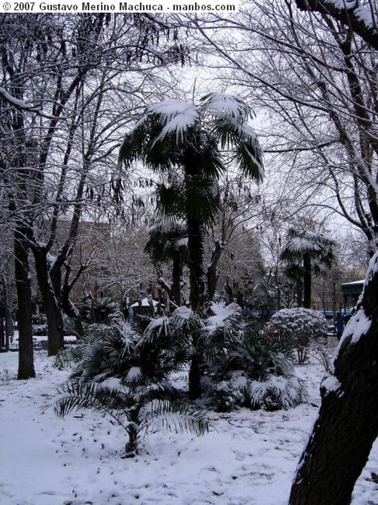 Foto de Puertollano, Paseo de San Gregorio, Ciudad Real, España - Puertollano nevado