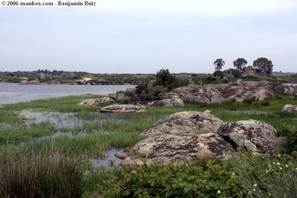 Malpartida de Caceres
presa
Caceres