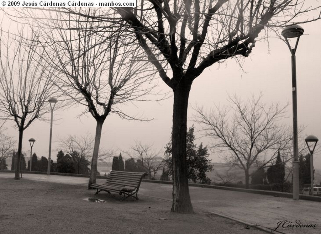 Sevilla
Lectura en una tarde de otoño
Sevilla