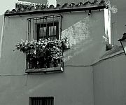 Barrio de Santa Cruz, Sevilla, España