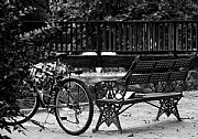 Parque de María Luisa, Sevilla, España