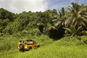Camara Canon EOS-1Ds Mark III
Islas Cook 
Islas Cook
ISLAS COOK 
Foto: 20541
