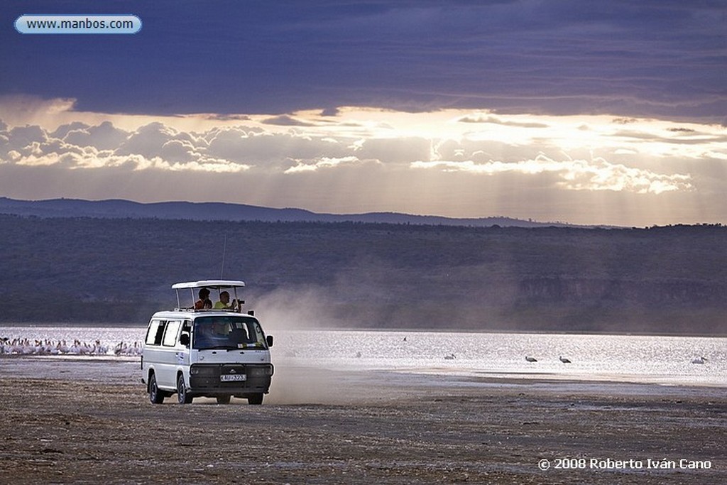 Nakuru
Nakuru
Nakuru