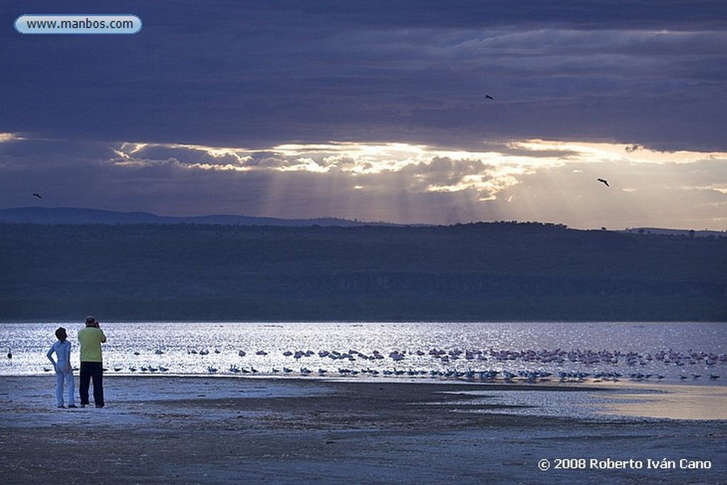 Nakuru
Nakuru
Nakuru