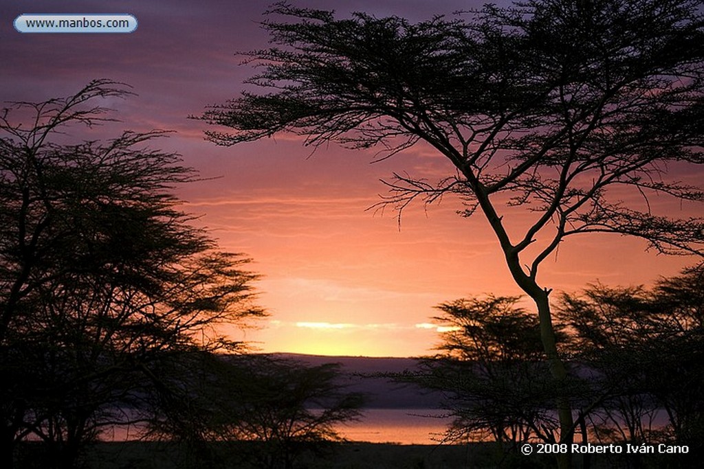 Nakuru
Nakuru
Nakuru