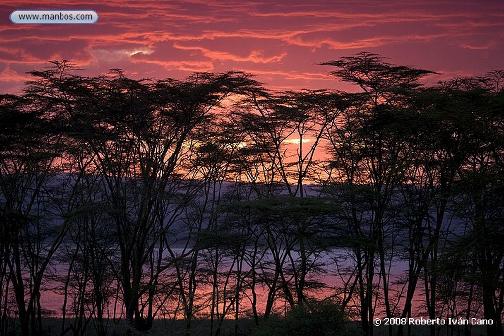 Nakuru
Nakuru
Nakuru