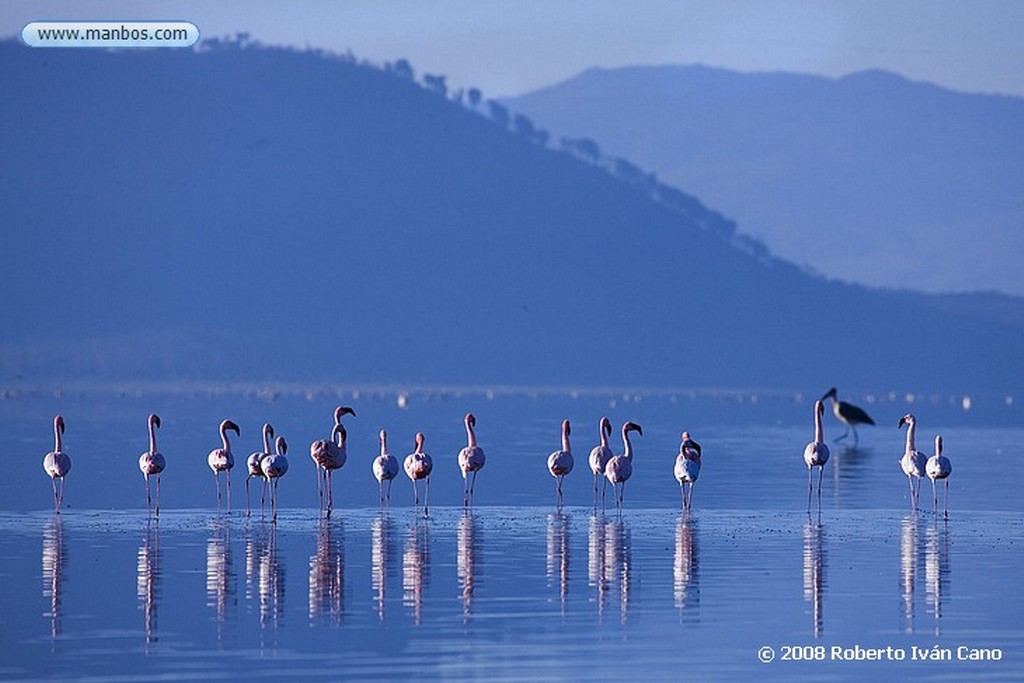 Nakuru
Nakuru
Nakuru