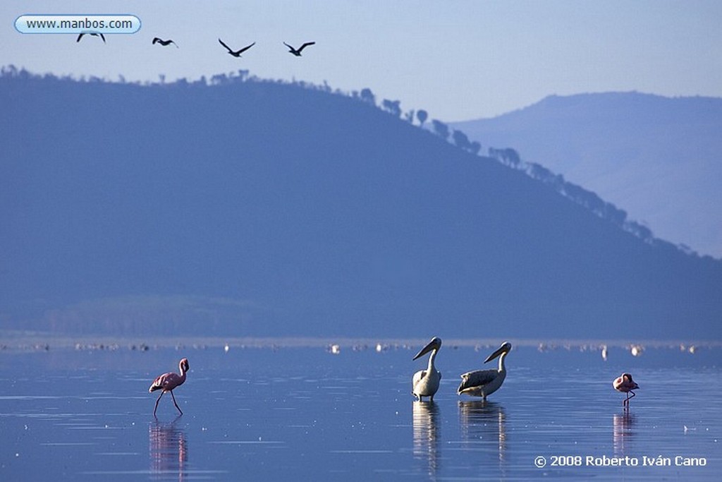 Nakuru
Nakuru
Nakuru