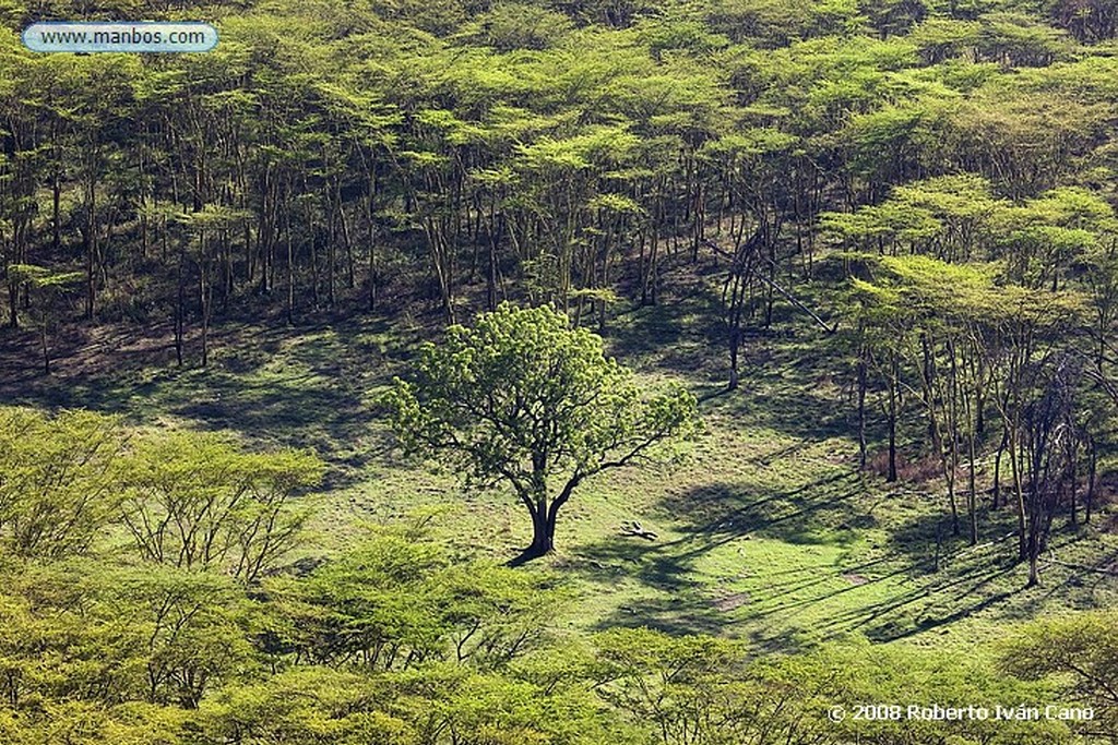 Nakuru
Nakuru
Nakuru