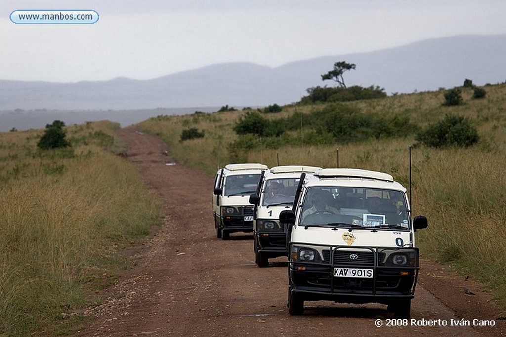 Massai Mara
Massai Mara
Massai Mara