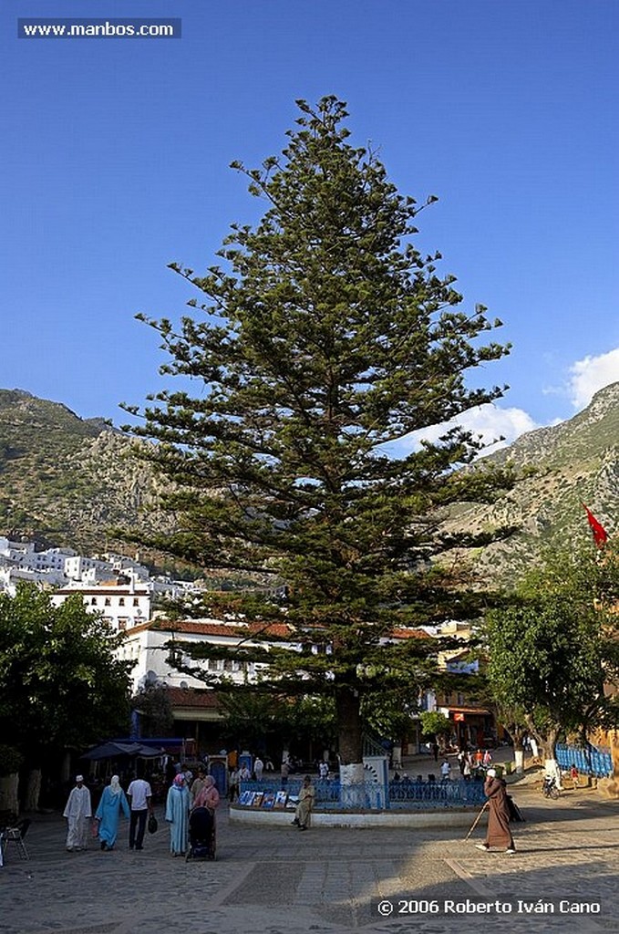 Chaouen
Tetuan