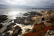 Big Sur, Big Sur, Estados Unidos