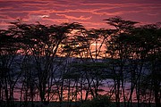 Nakuru, Nakuru, Kenia