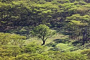 Nakuru, Nakuru, Kenia