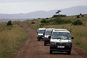 Massai Mara, Massai Mara, Kenia