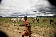 Massai Mara, Massai Mara, Kenia