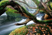 Galicia, Comarca da Ulloa, España