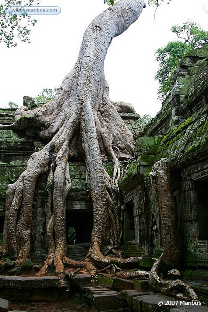 Angkor
Angkor