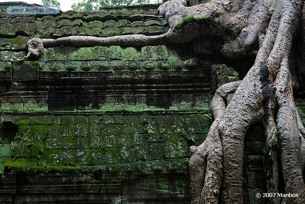 Angkor
Angkor