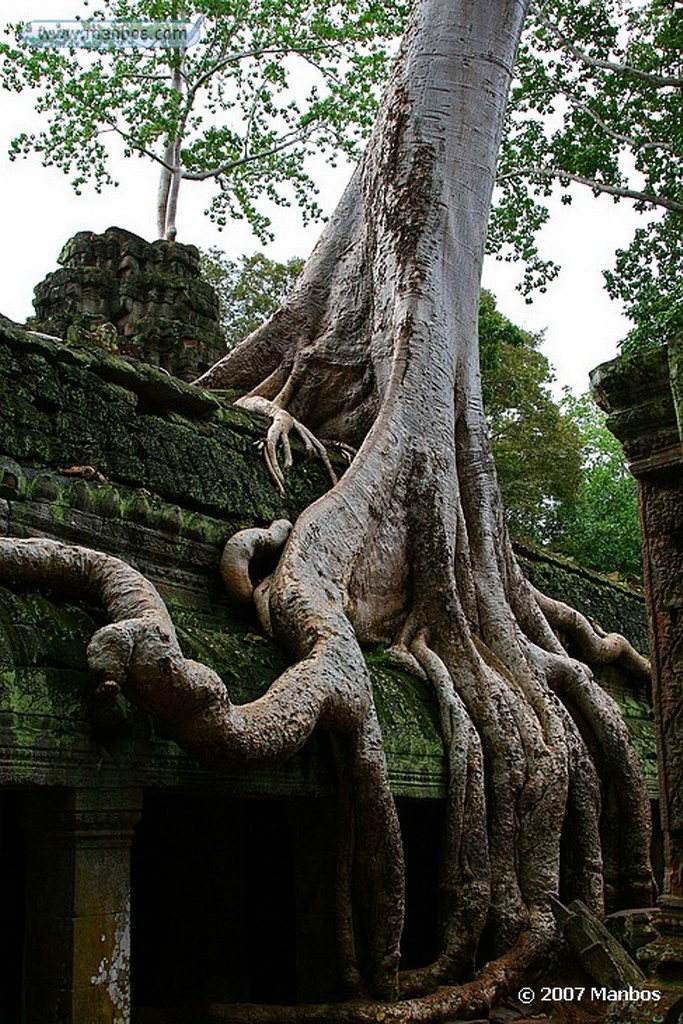 Angkor
Angkor