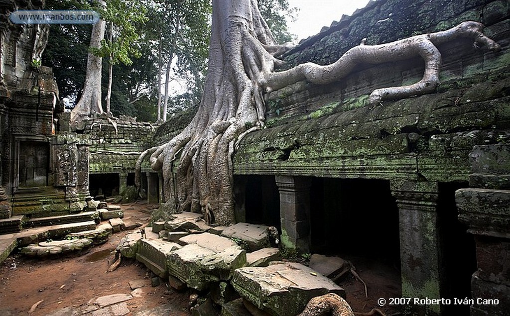 Angkor
Angkor