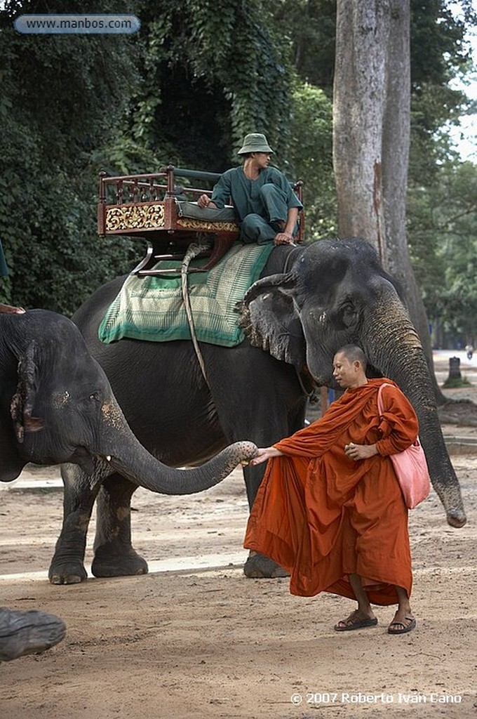 Angkor
Angkor