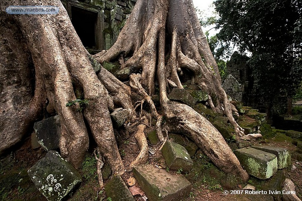 Angkor
Angkor