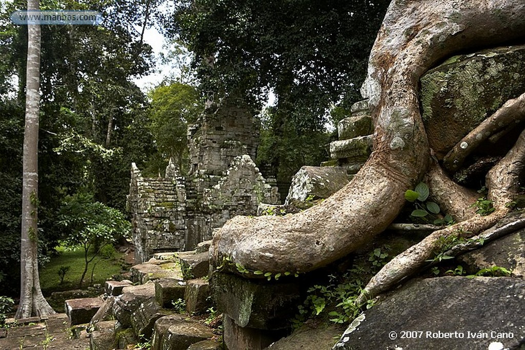 Angkor
Angkor