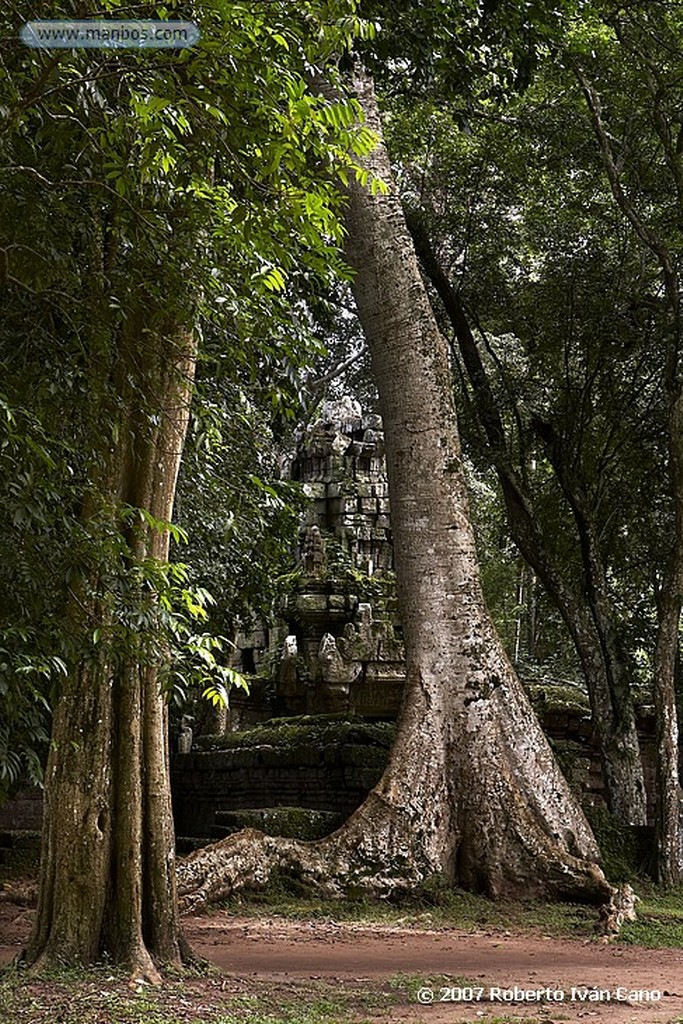 Angkor
Angkor