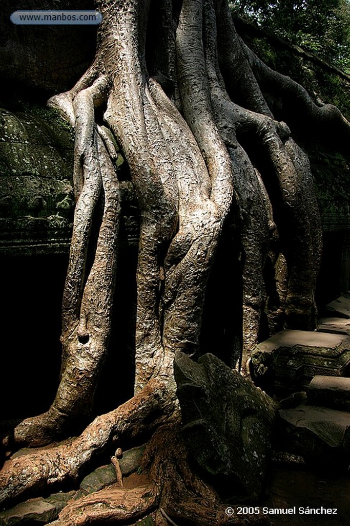 Angkor
Angkor Wat Temple
Angkor