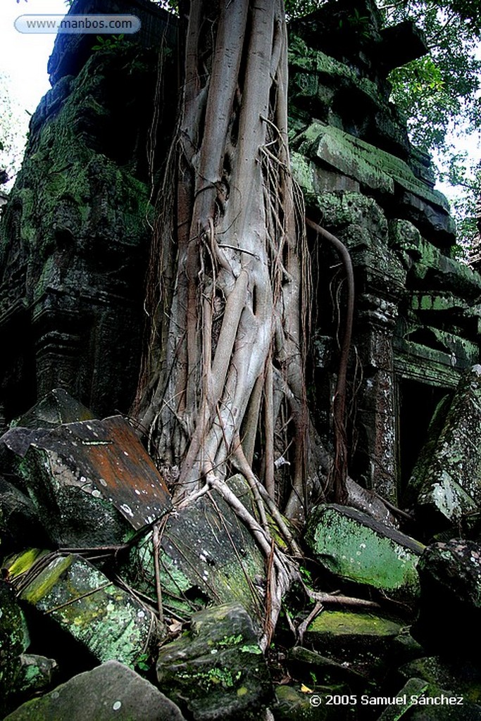 Angkor
Angkor Wat Temple
Angkor