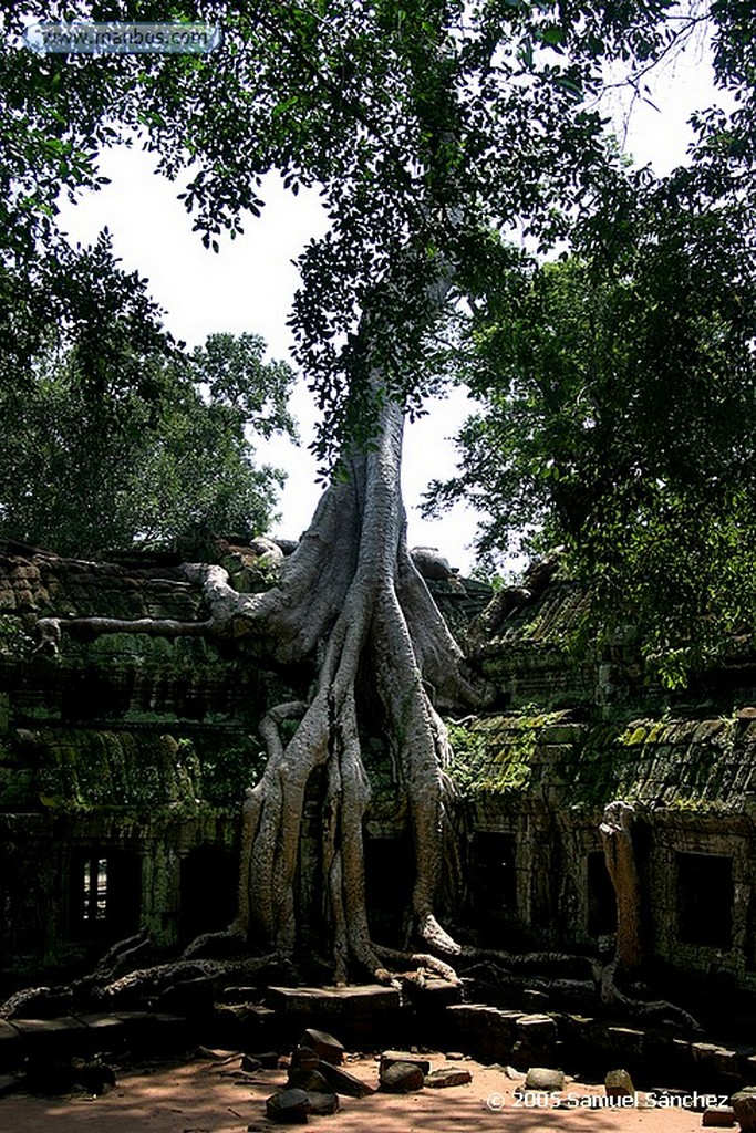 Angkor
Bayon Temple
Angkor