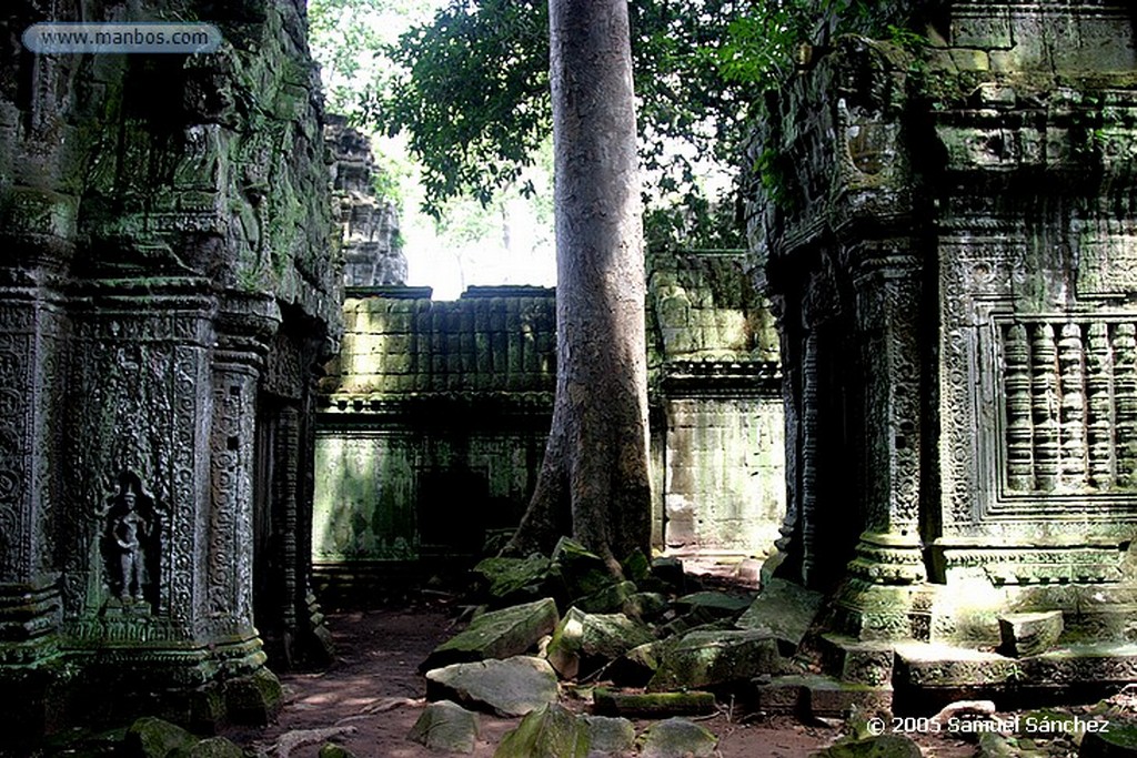 Angkor
Angkor Wat Temple
Angkor