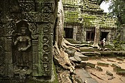 Templo Ta Prohm, Angkor, Camboya