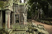 Templo Ta Prohm, Angkor, Camboya