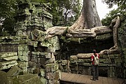 Templo Ta Prohm, Angkor, Camboya